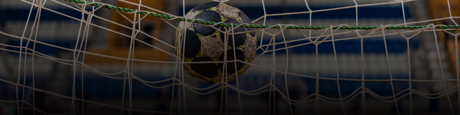 Website-Banner
